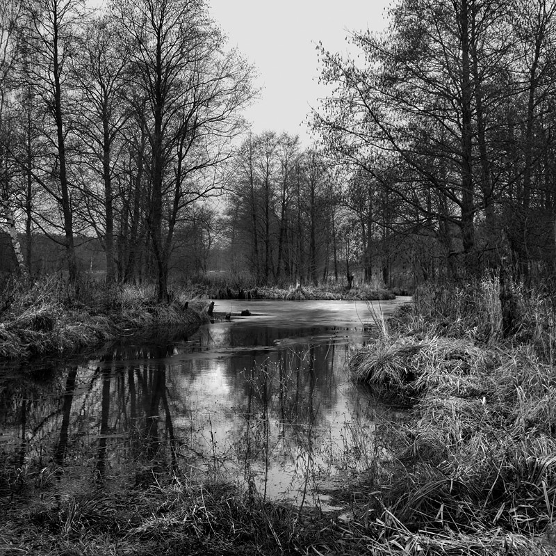 Поздняя осень