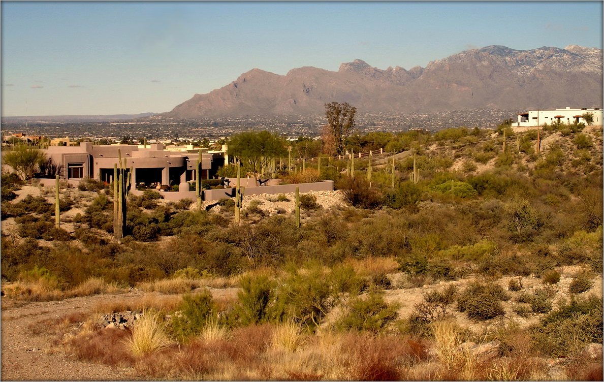 среда обитания