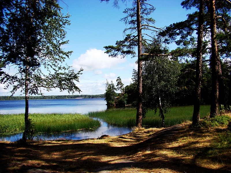 парк Монрепо 2