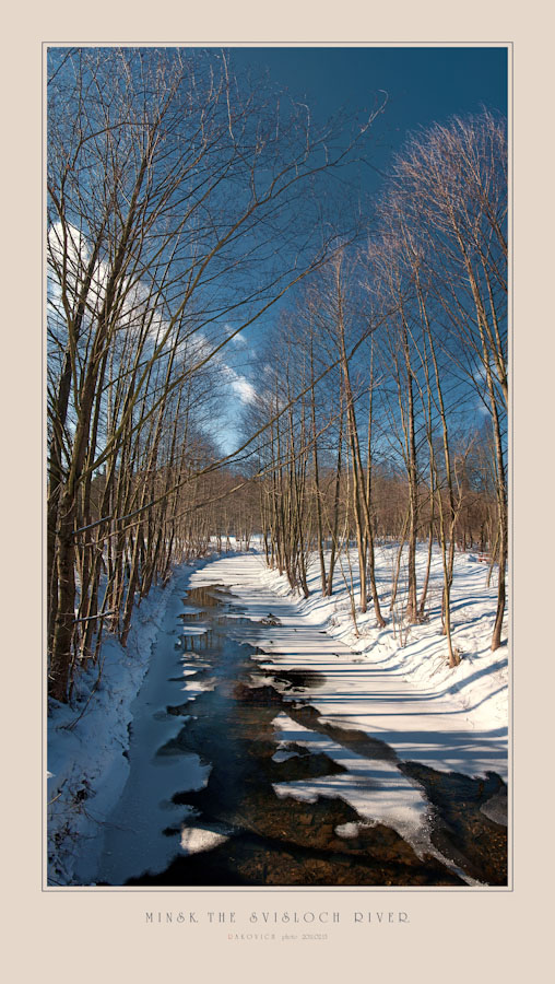 Тоже Дрозды...