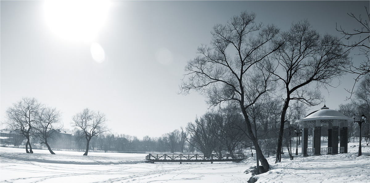 В Лошицкий парк пришла весна
