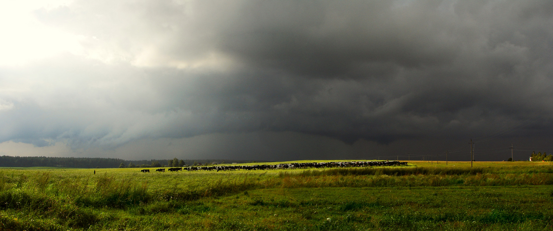Перед грозой....