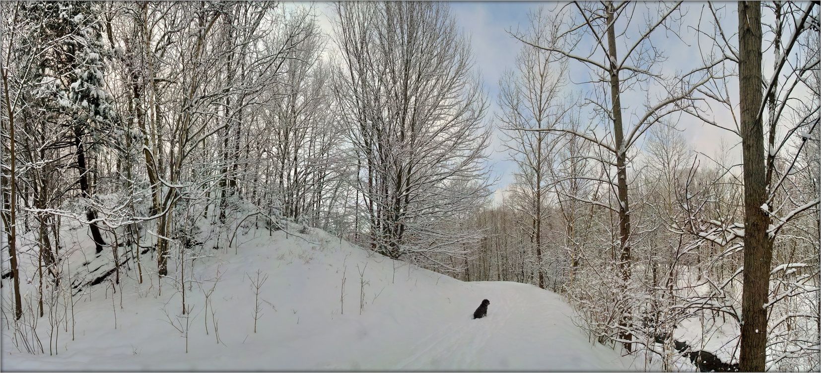 так вот какая ты, зима!..