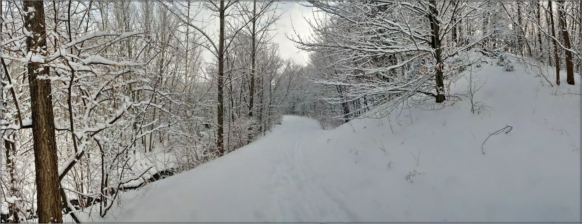 так вот какая ты, зима ..2