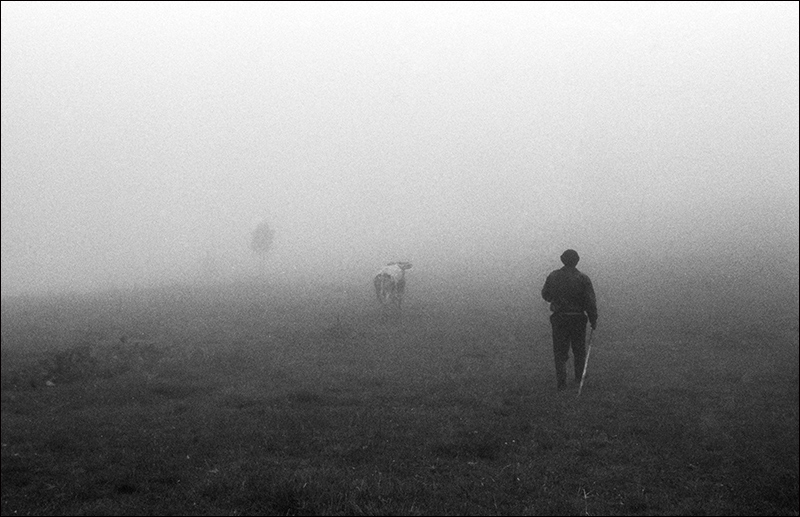 Домой с кормилицей