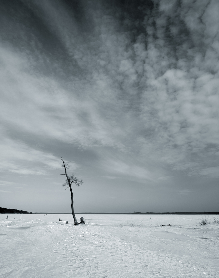 Одиночество