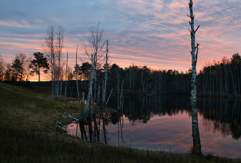 Саврасово просыпается
