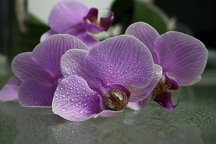 с капельками...