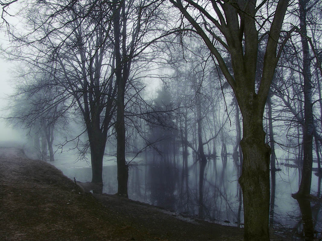Сонное утро весны.....или история одного места1