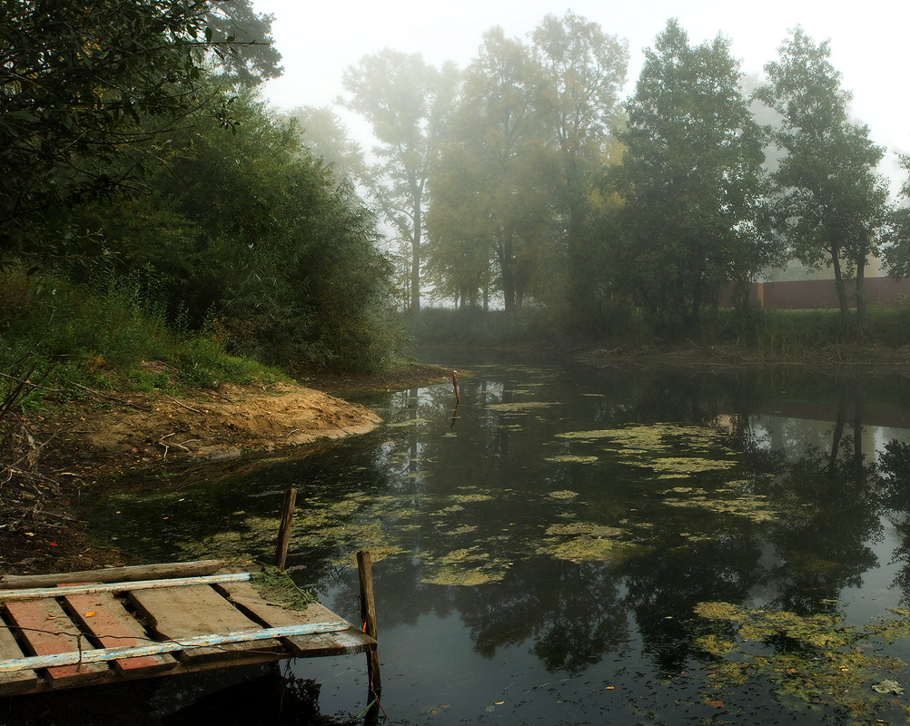 Туманное утро.