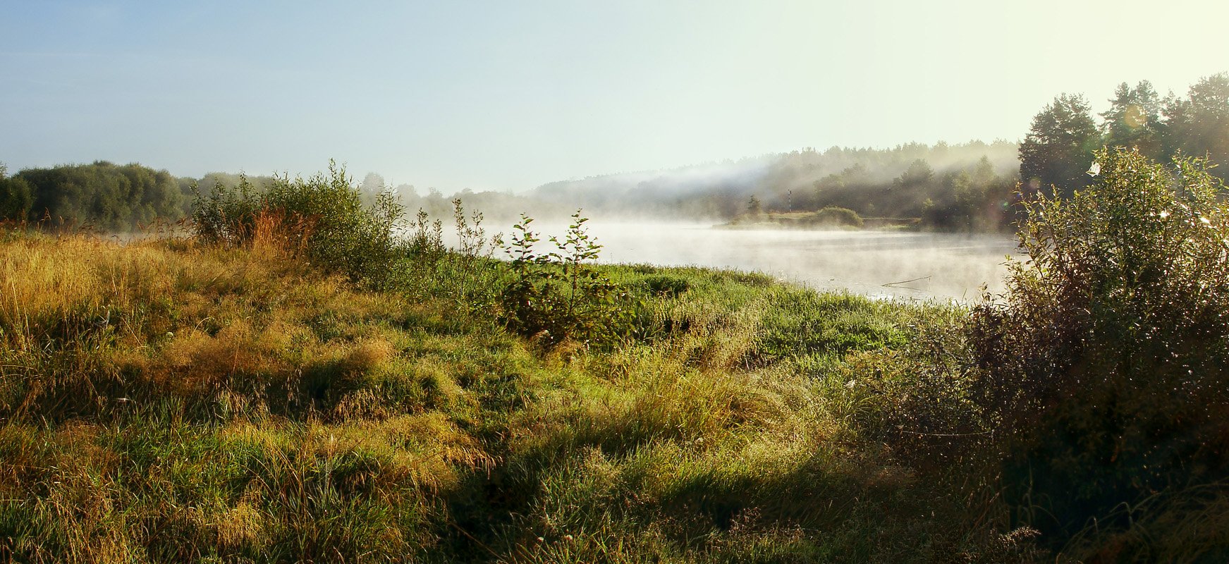 Летнее утро...