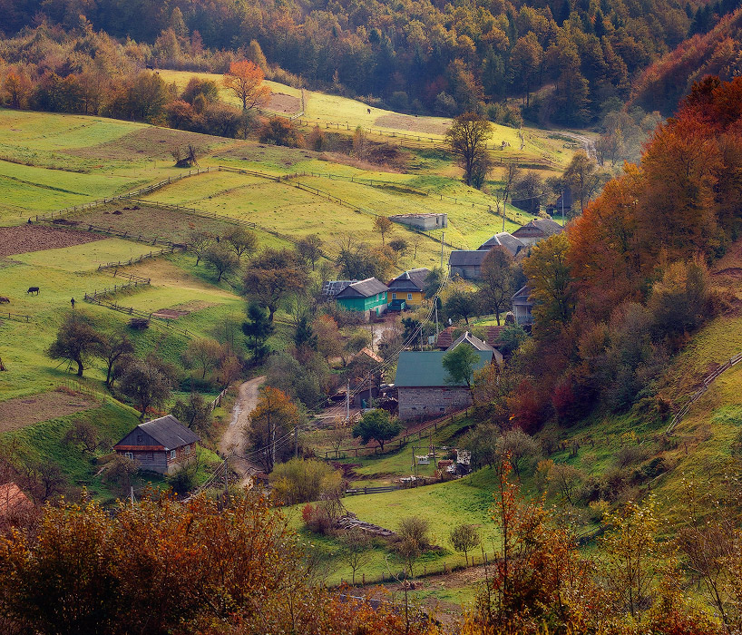 Карпатский краявид