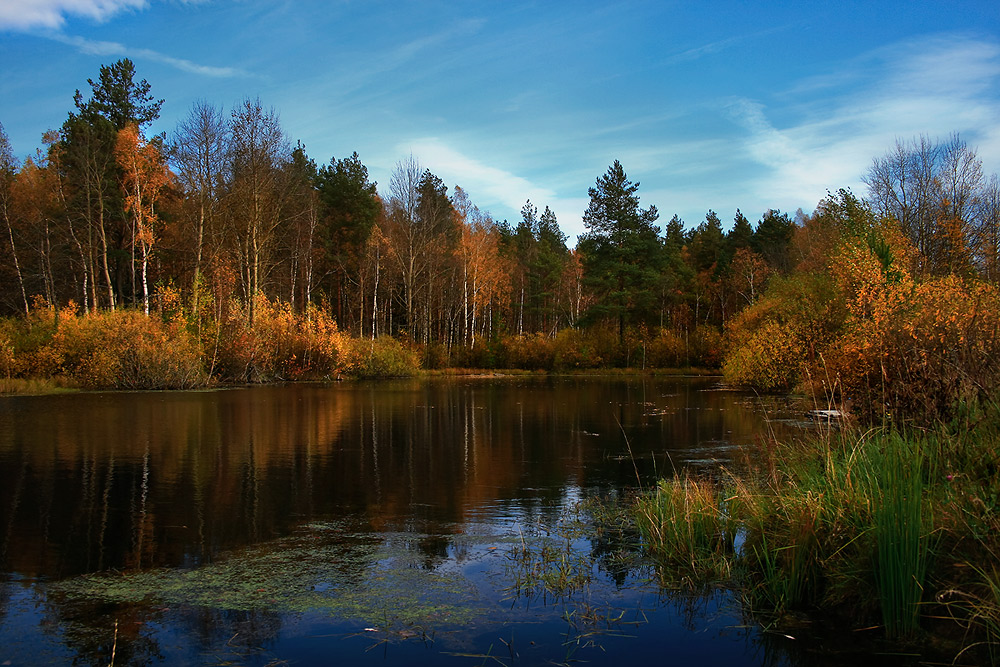 Поздняя осень