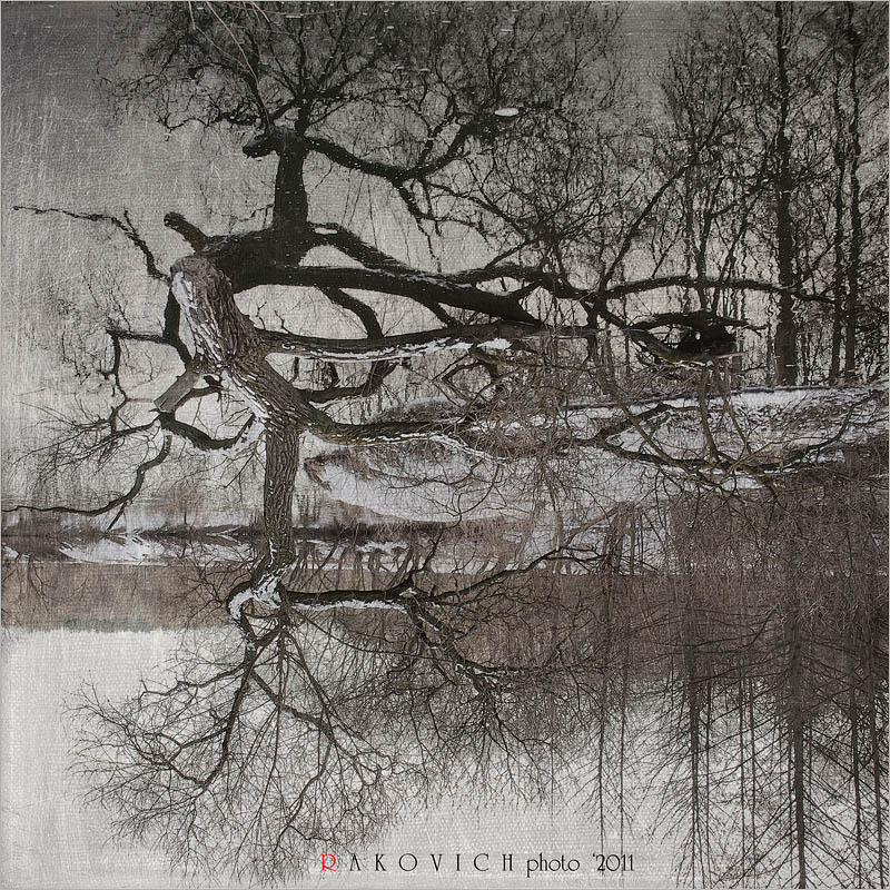 Наваждение...