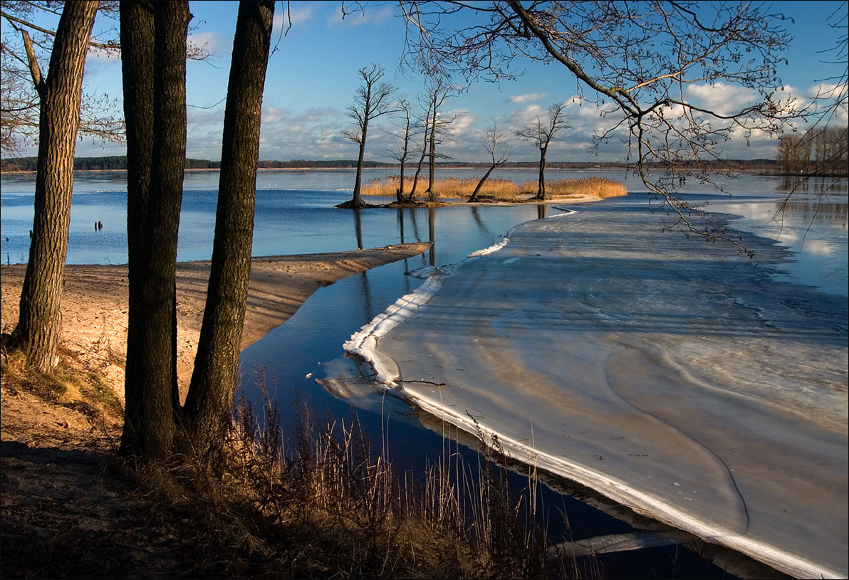 Грачи прилетели