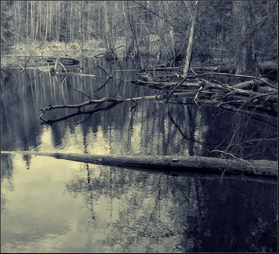 Тающий мир...