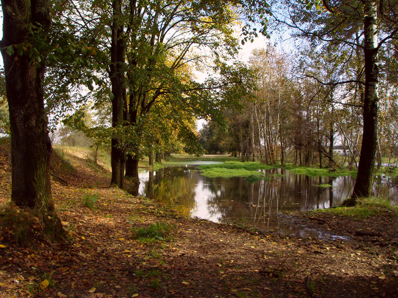 Осень....история одного места2