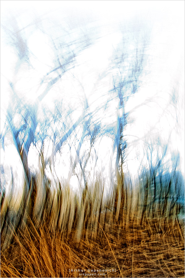 ‎[ Mystery of the tall Grass ]