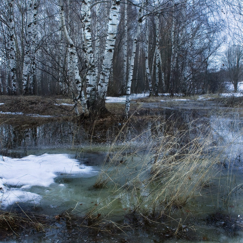 Поздняя весна