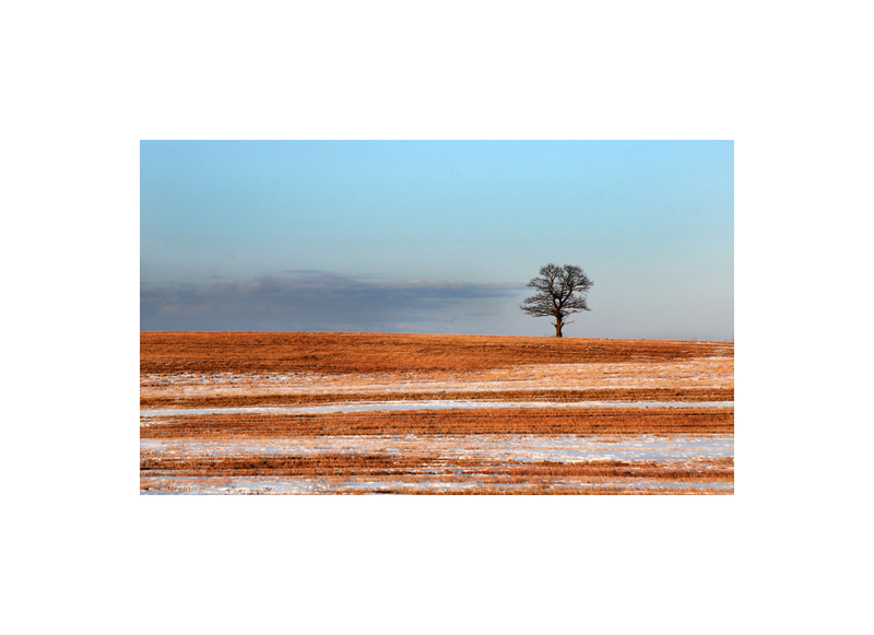 пейзаж в паспарту