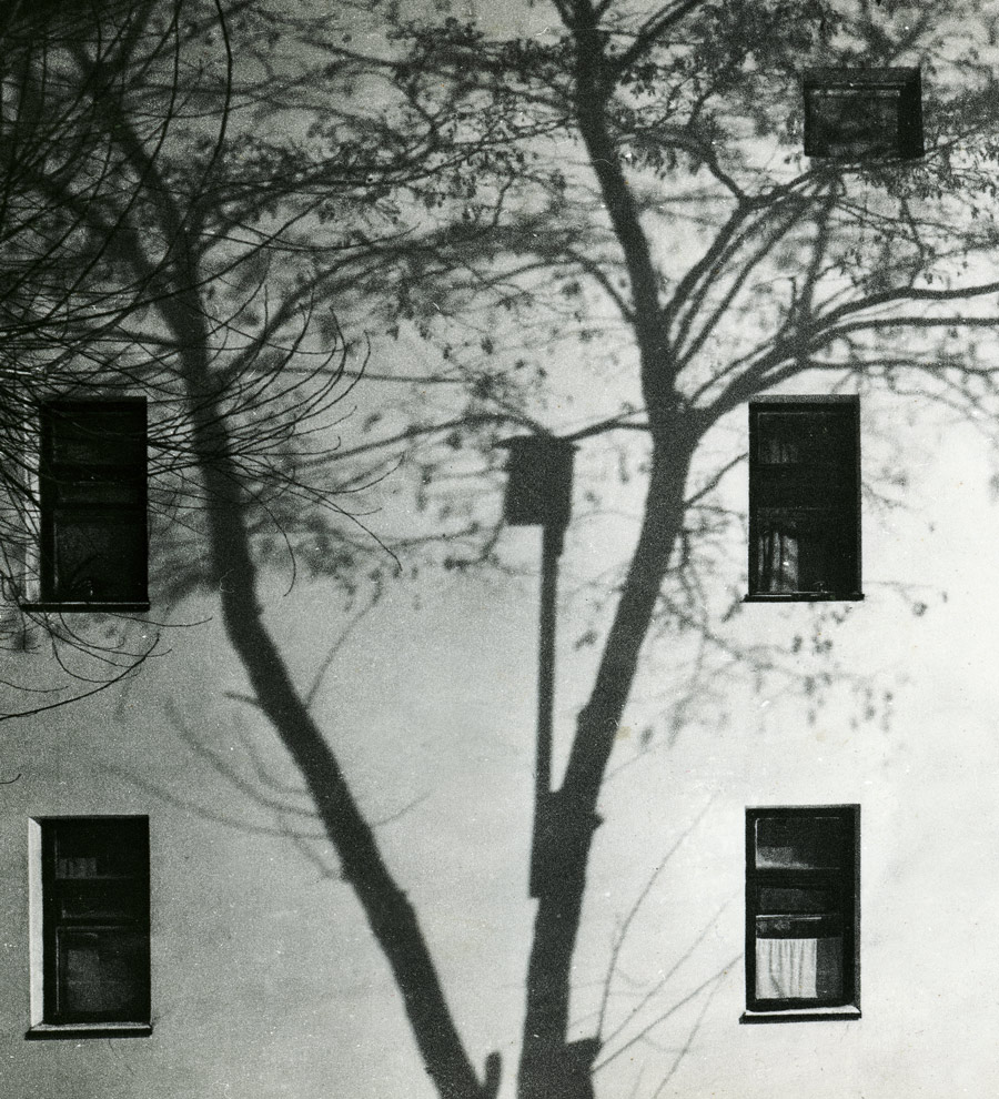 СКВОРЕЧНИК