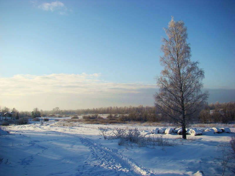 с. Архангельское II