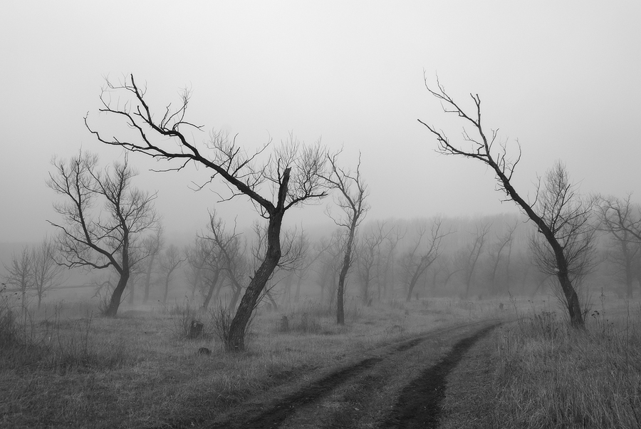 Застывшее Движение