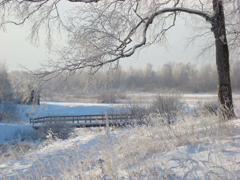 Припорошило