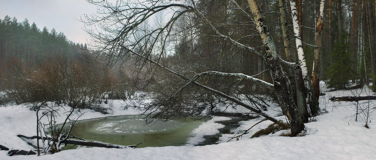 Предвесенняя