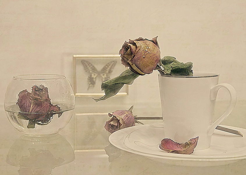 позабытое лето....