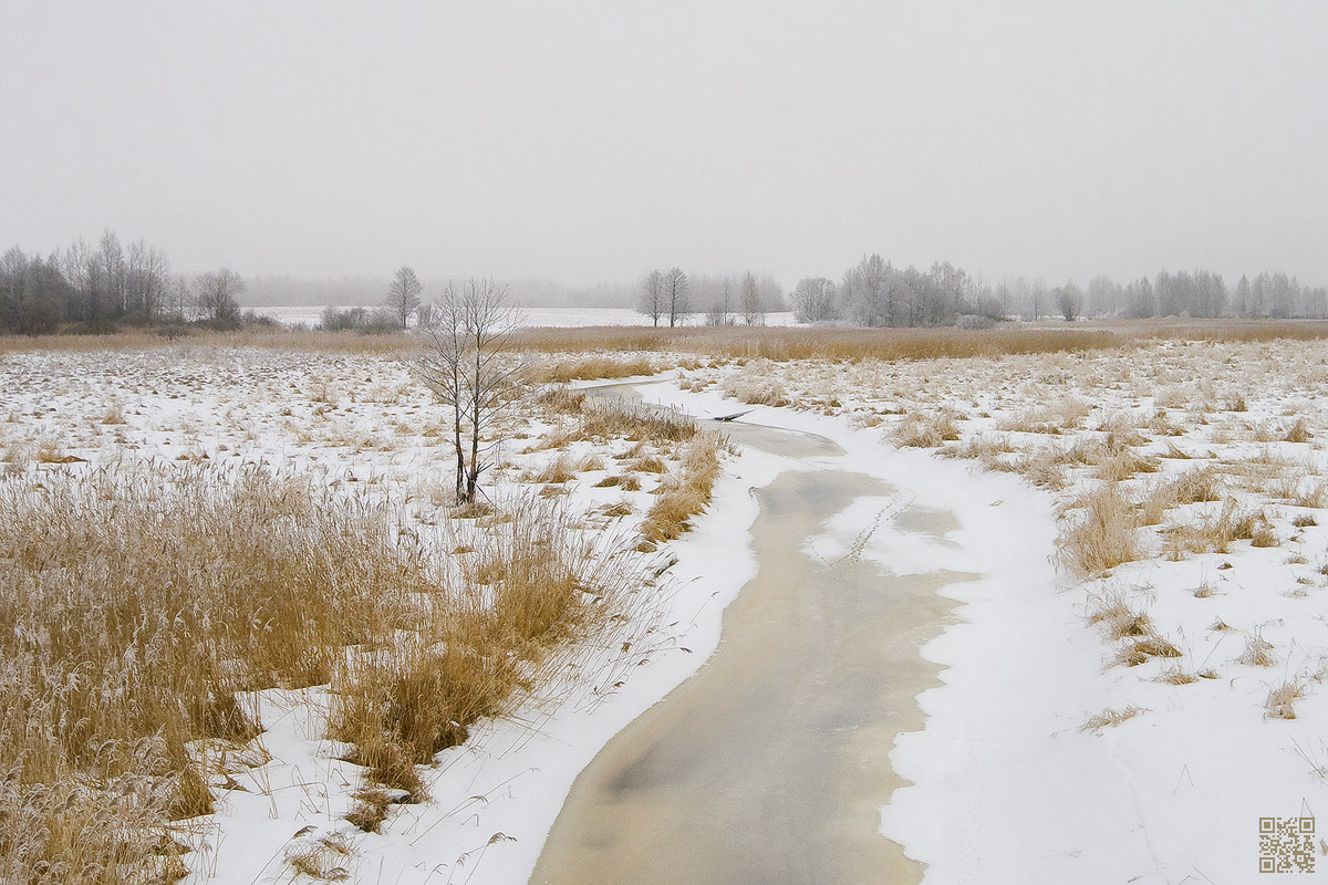 |   Последние дни зимы   |