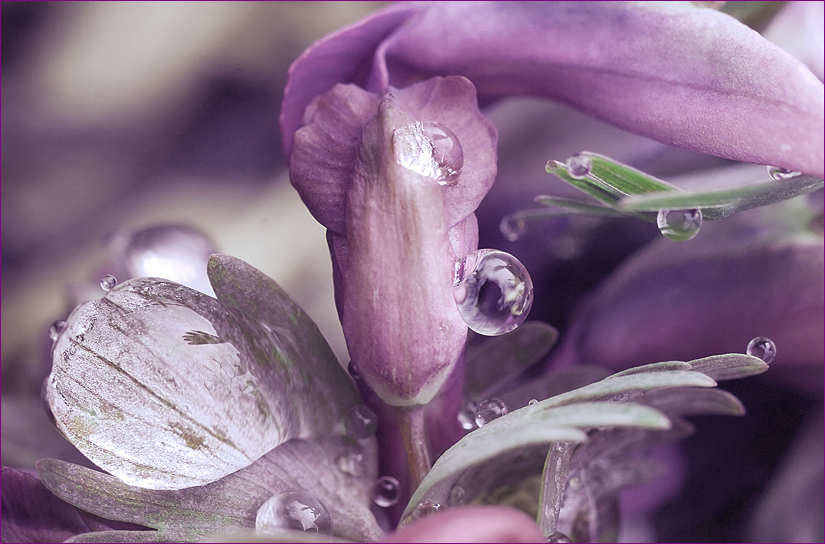 Ассиметрия