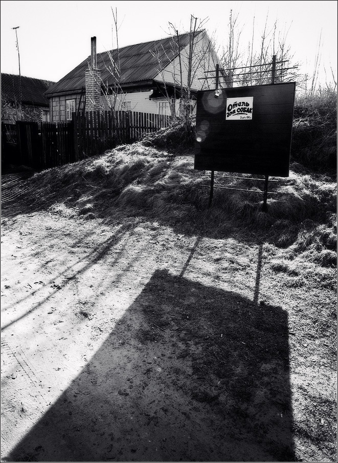 / Отель для собак /