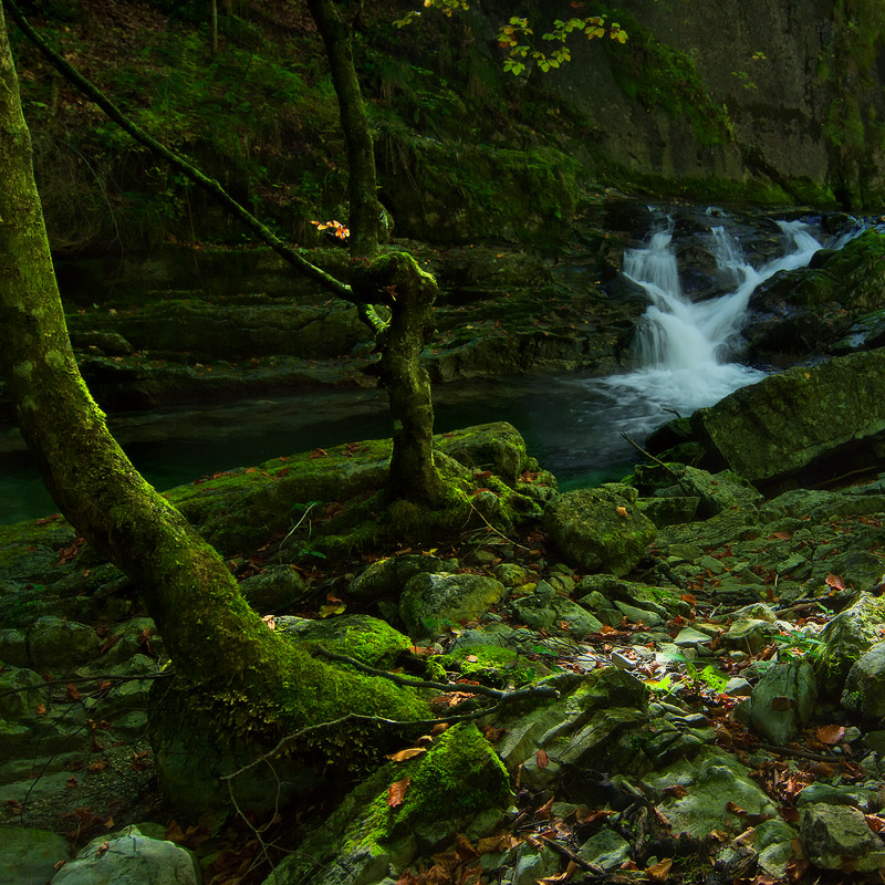 У Горного Ручья