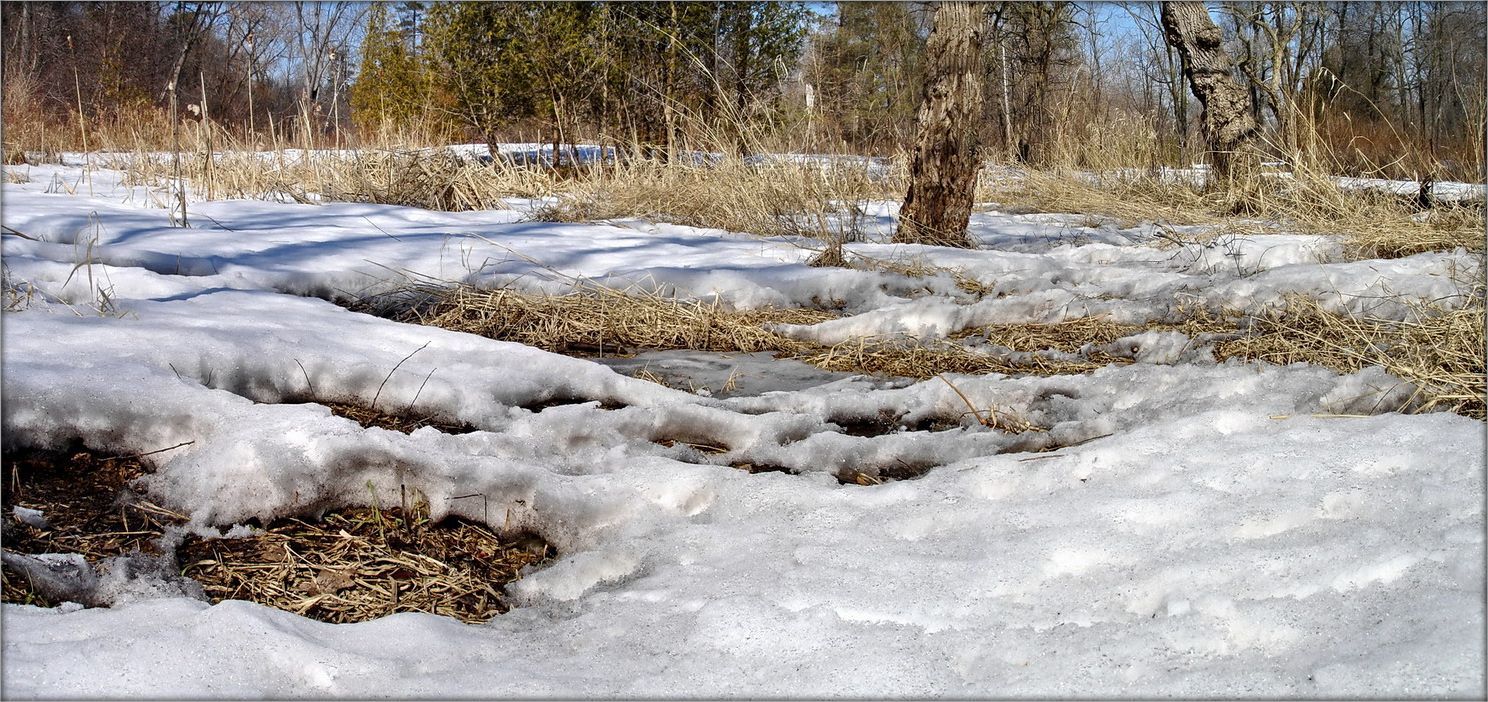 мартовский торт