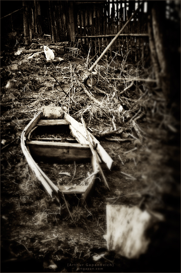 [ Котико и Лодочко ]