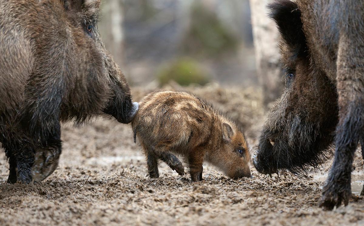 Про Любовь.