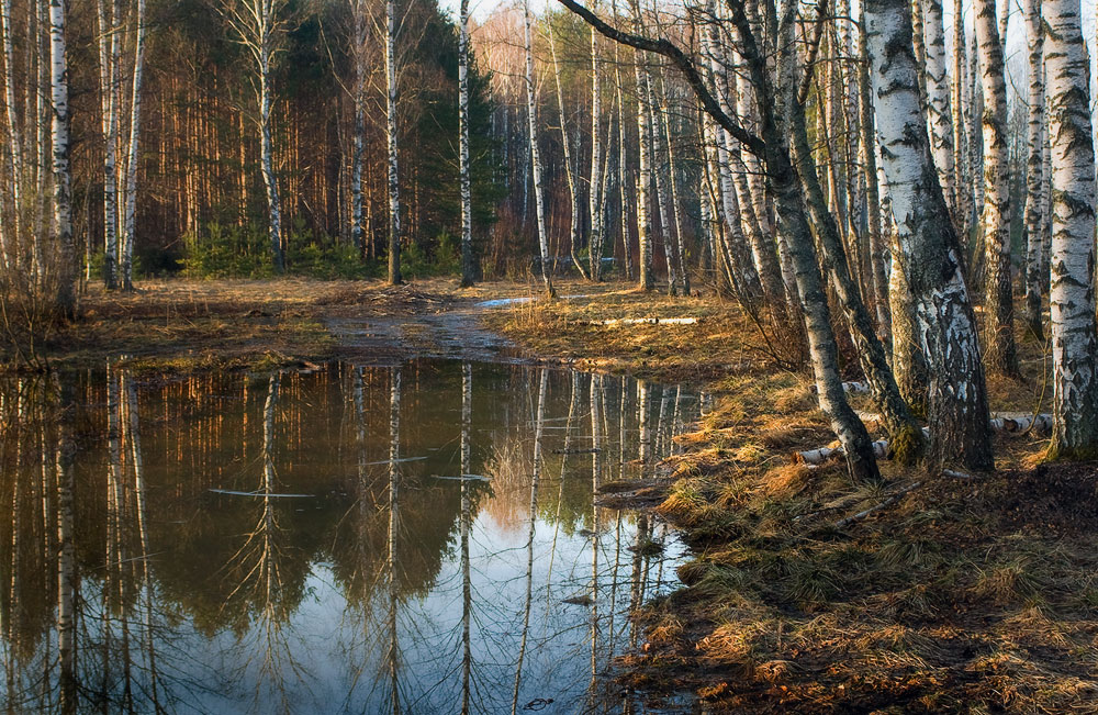Утро. Разлив.