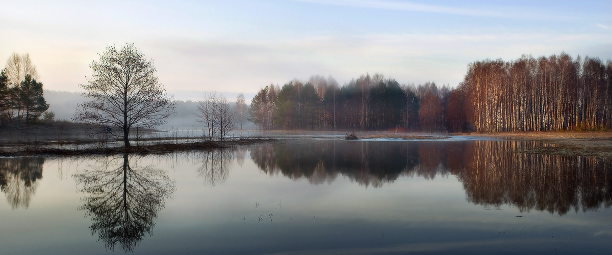 Тихим утром