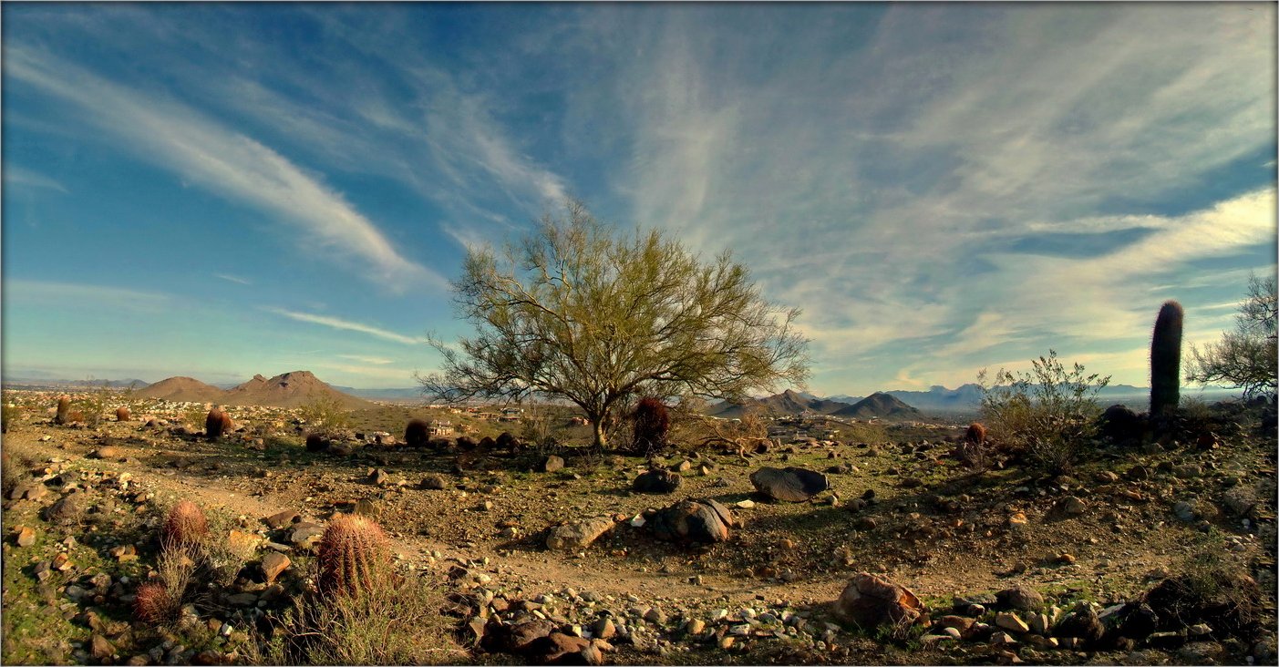 гуканне вясны