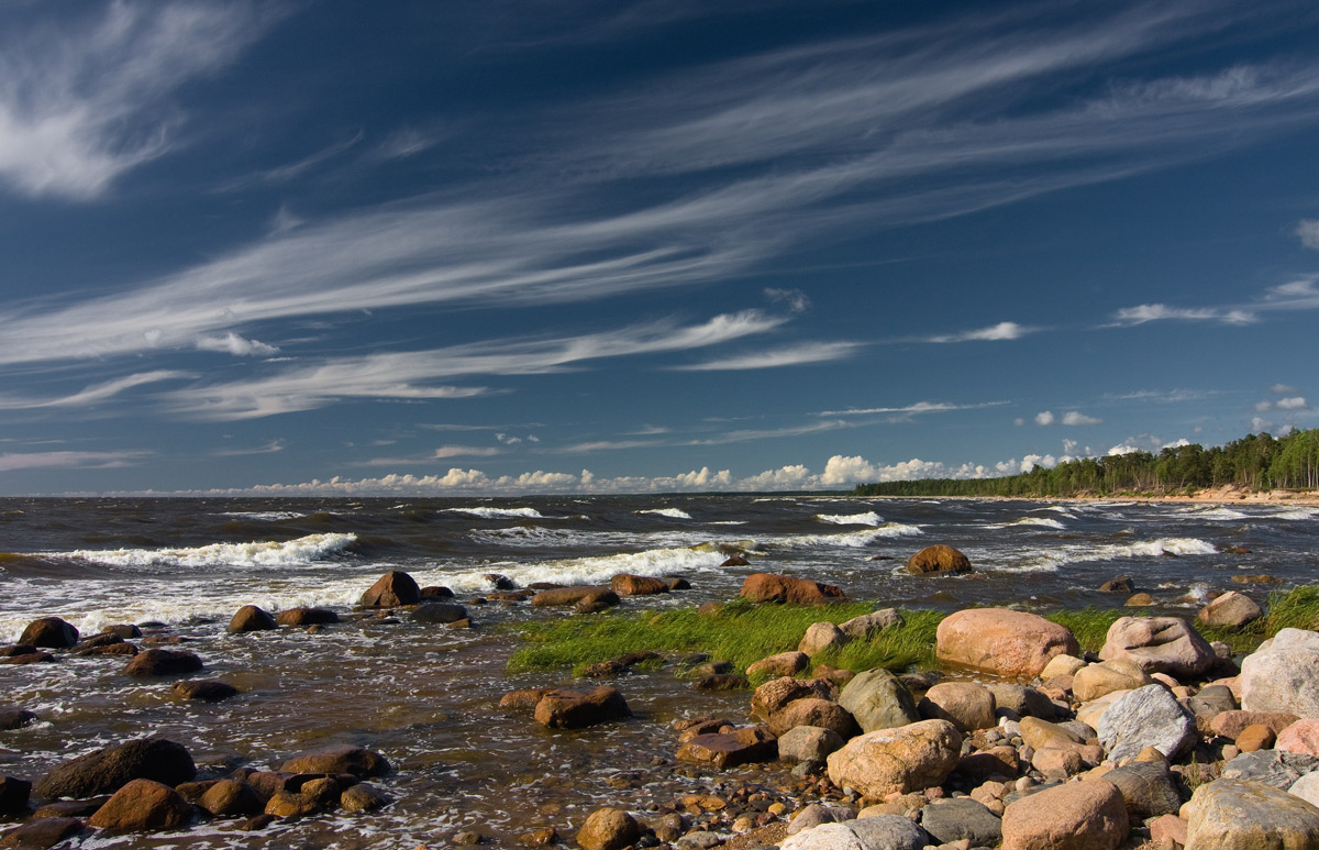 Однажды летом