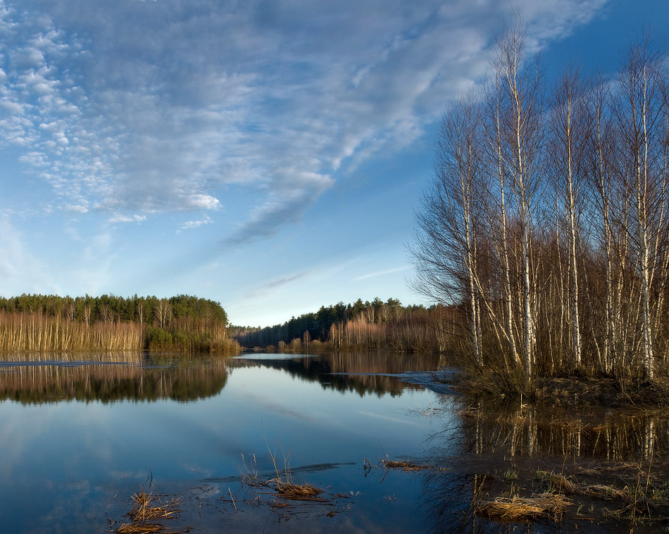 Утро последнего льда