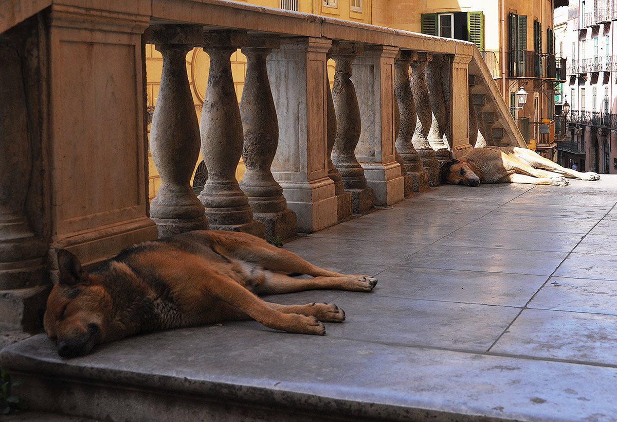 Сиеста в пятницу