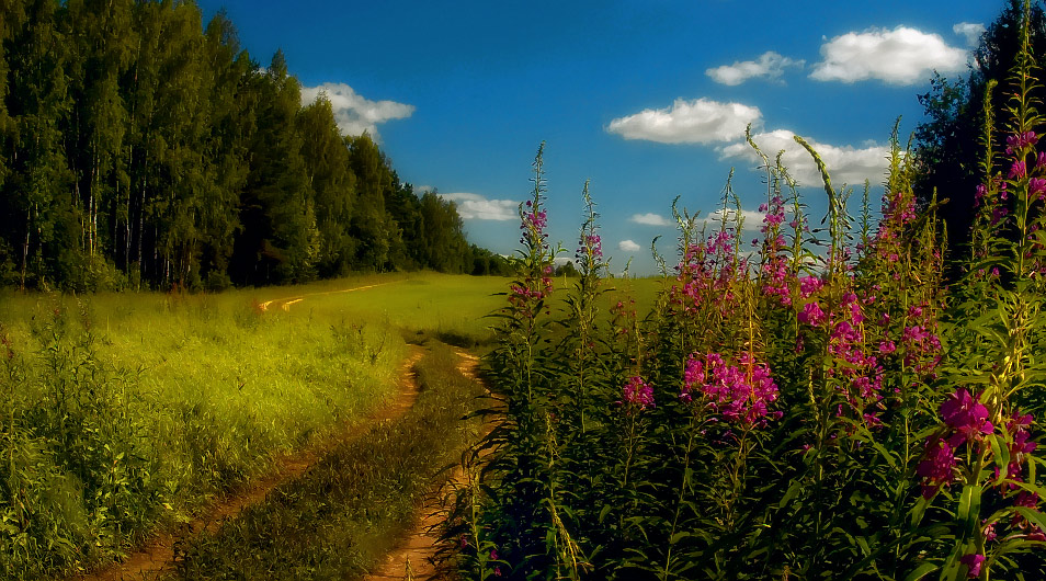 Любимое лето