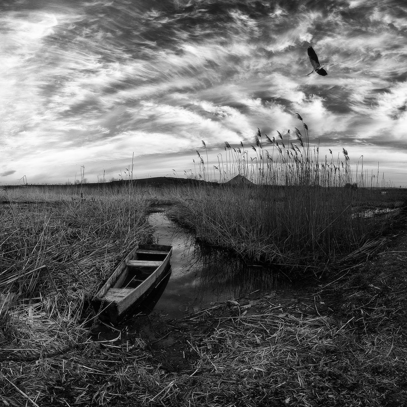 Большая Вода Зовёт