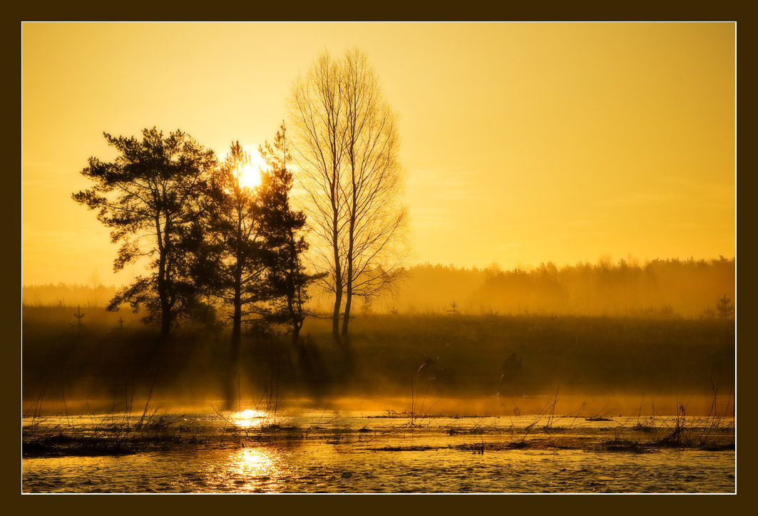 Утро в разлив