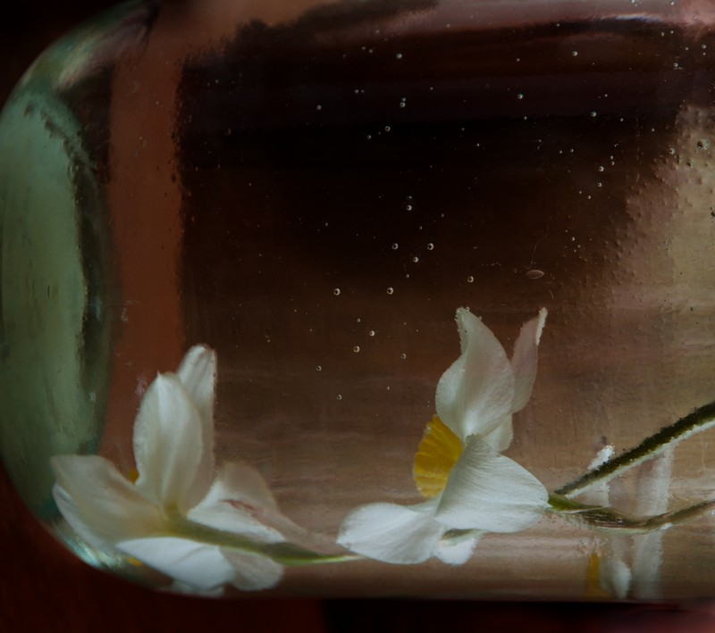 про нарциссы