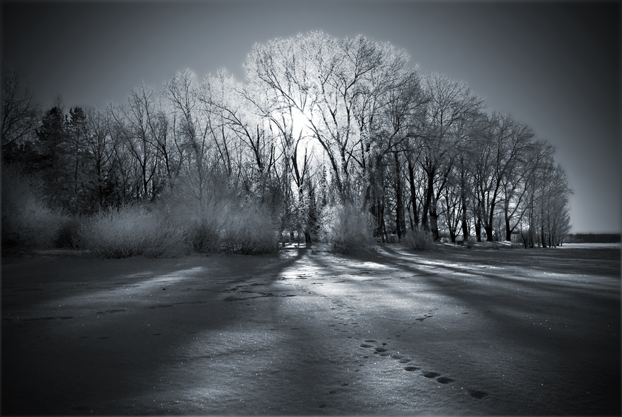 зимние декорации