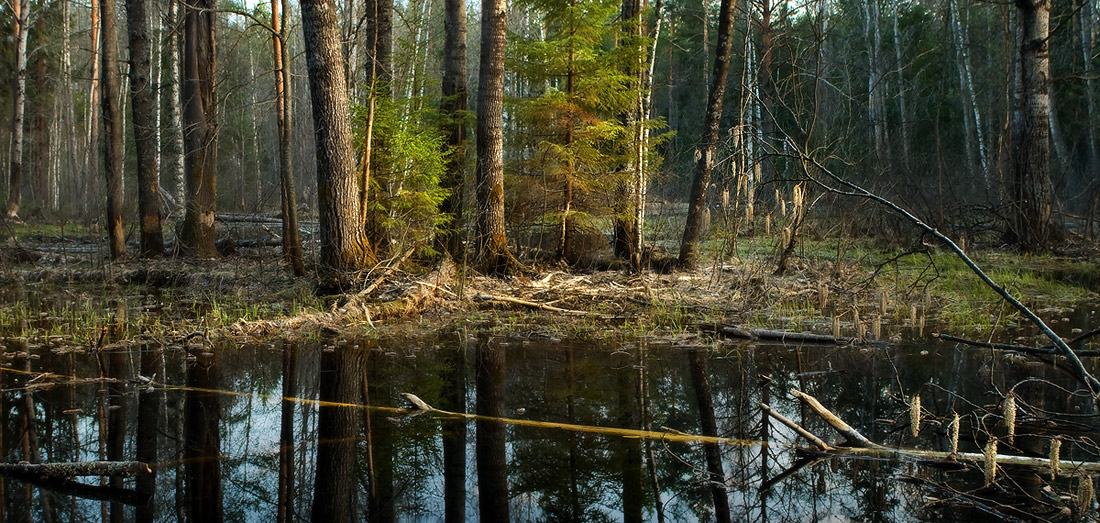 Последний луч
