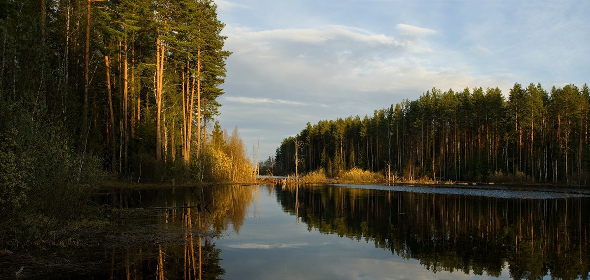 В лучах заката